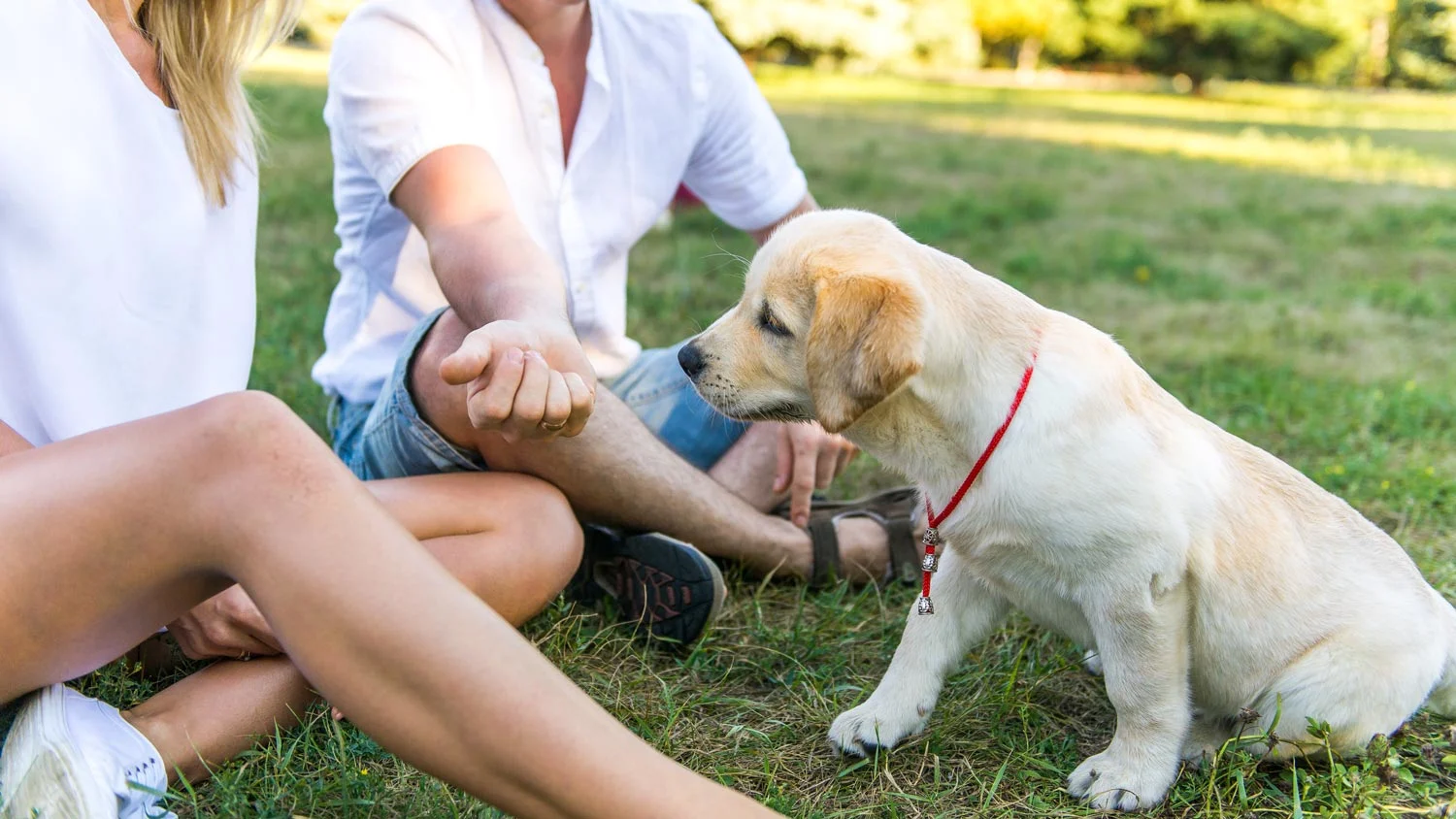 Two people sitting beside a zen puppy.