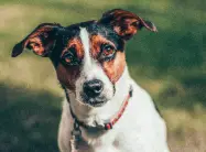 shayna-douglas-rFao8fcvTdY-unsplash 3